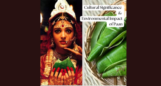 Exploring Cultural Significance and Environmental Impact of Paan